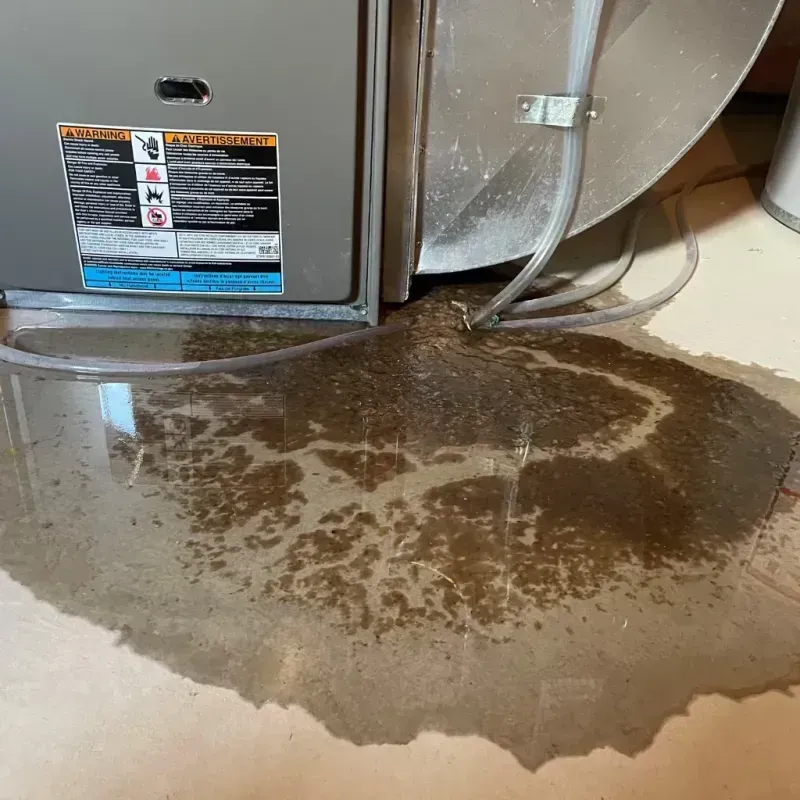 Appliance Leak Cleanup in Laredo, TX